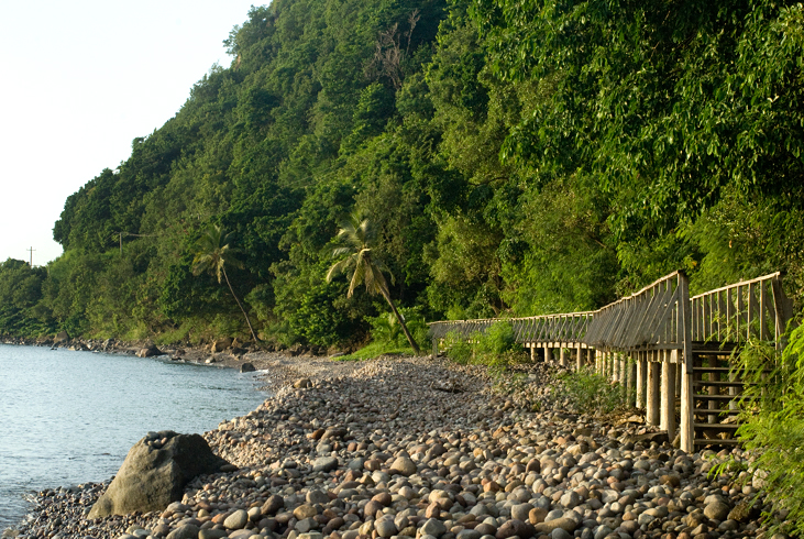 The rough beauty of Champagne Beach